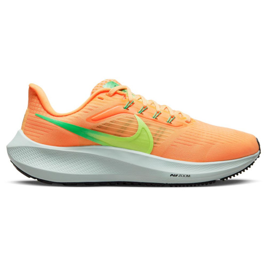 Nike Air Zoom Pegasus 39 Nike Air Zoom Pegasus 39